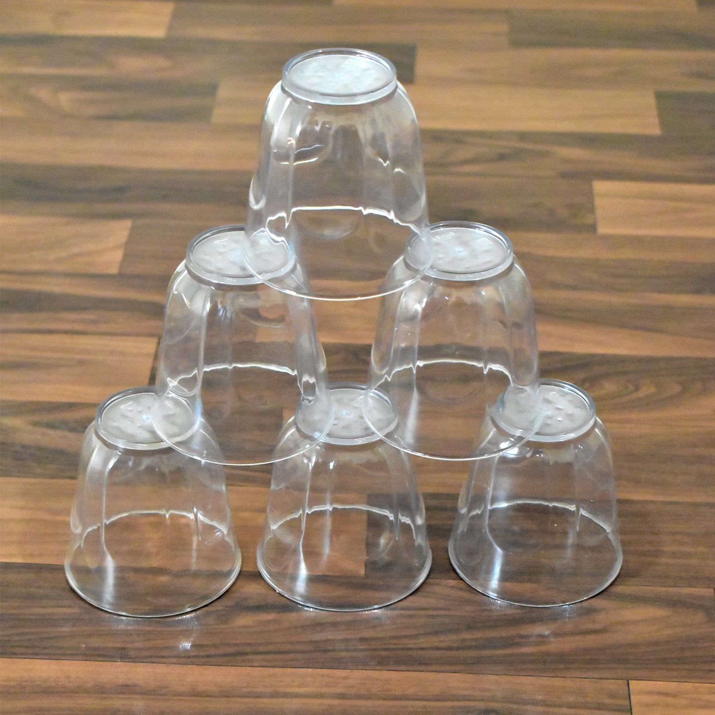 8125 Ganesh Lily Glass Break Resistant Plastic Set Of 6pcs (300 Ml)